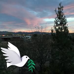 Meet your Posher, Lorraine